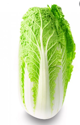 [4323200000006] CHINESE CABBAGE